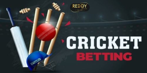 Online Betting Services for IPL Fans – Reddy Anna Book Explained